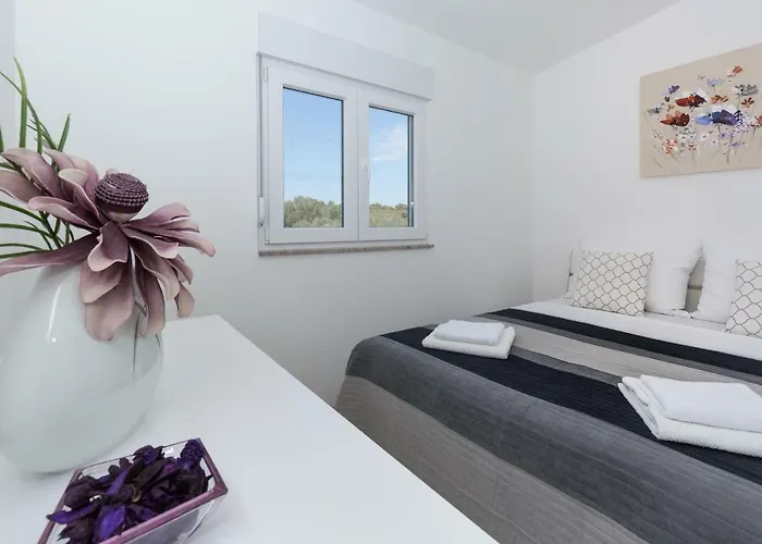 Modern And Spacious
