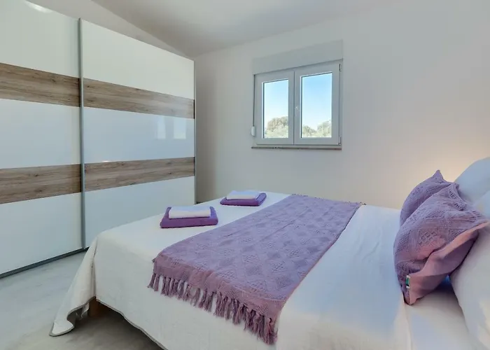 Modern And Spacious